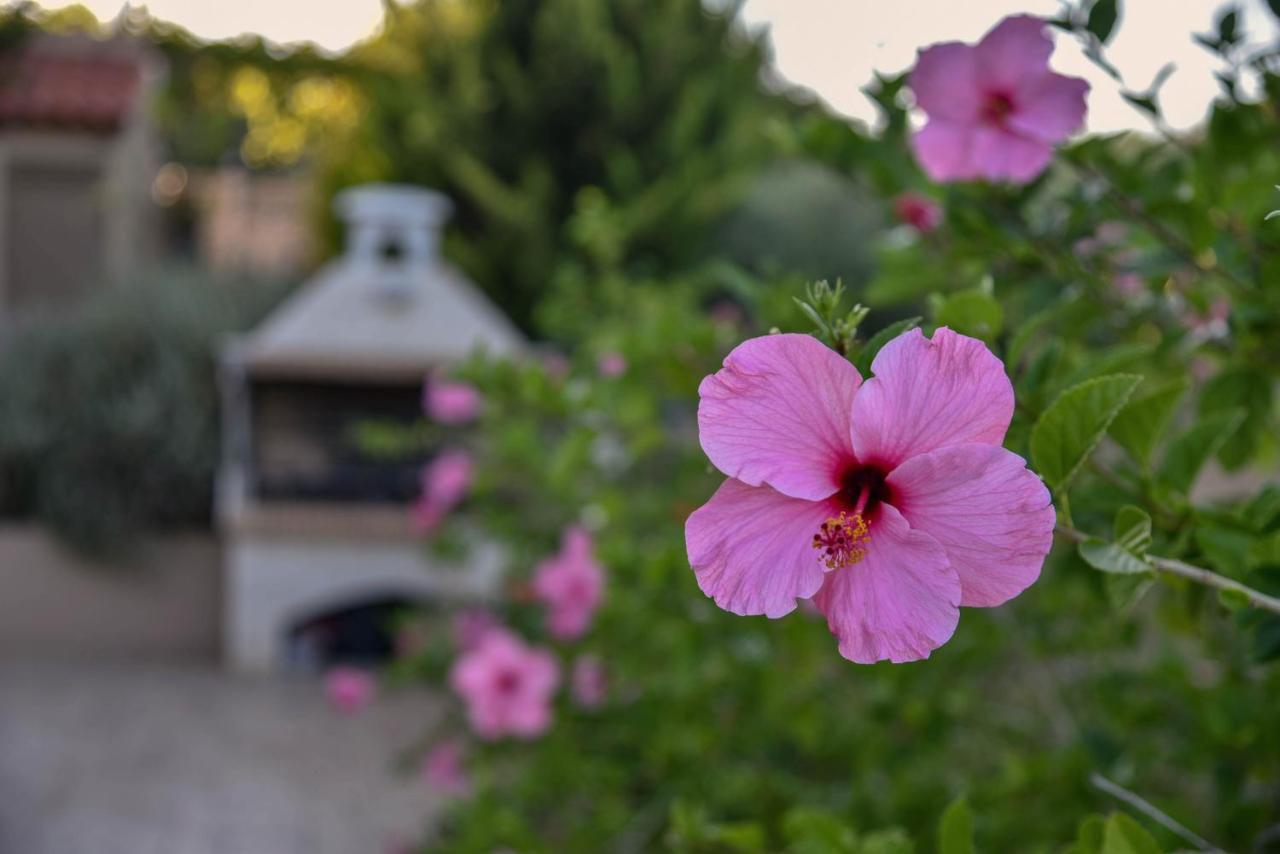Villabayviewcrete Херсониссос Экстерьер фото